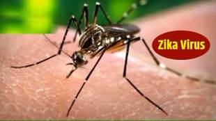 mumbai reports second zika case