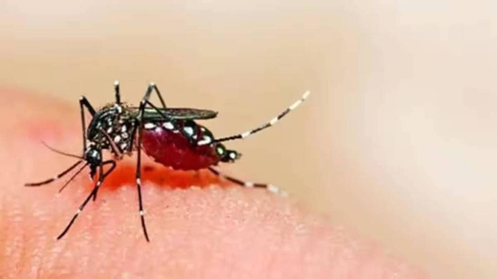 Dengue outbreak increased in Jalgaon district
