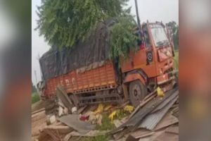 बुलढाण्यात भीषण दुर्घटना, मेळघाटातील मजुरांना ट्रकने चिरडले; तीन जण ठार Horrific accident in Buldhana