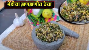Bhendi thecha recipe in marathi