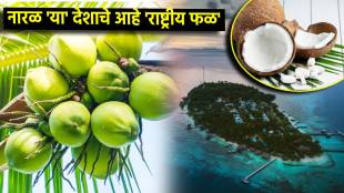 Interesting Facts of Coconut in Indian Culture & Cuisine bus coconut is not the national fruit of india but maldives