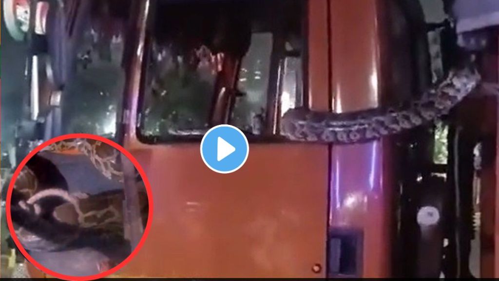 Noida Police Shares Video Of python rescue