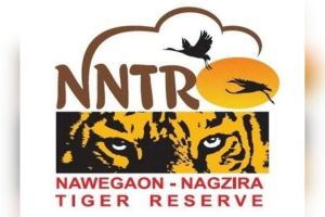 Nagzira Tiger Reserve Safari Begins