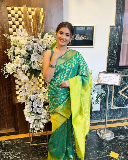 Navratri Actress Peacock Green Saree