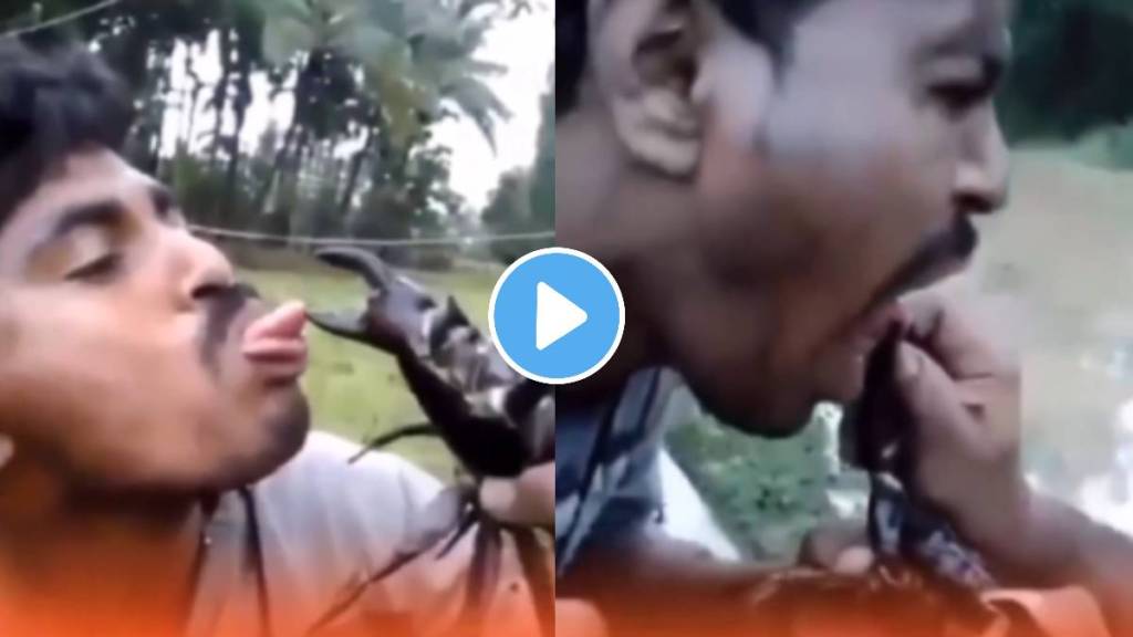 Crab Bite Man's Tongue video viral