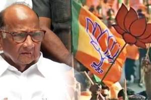 अपयश झाकण्यासाठी सत्ताधाऱ्यांची शरद पवारांवर टीका, राष्ट्रवादीचे प्रतिउत्तर Ved Prakash Arya criticizes BJP