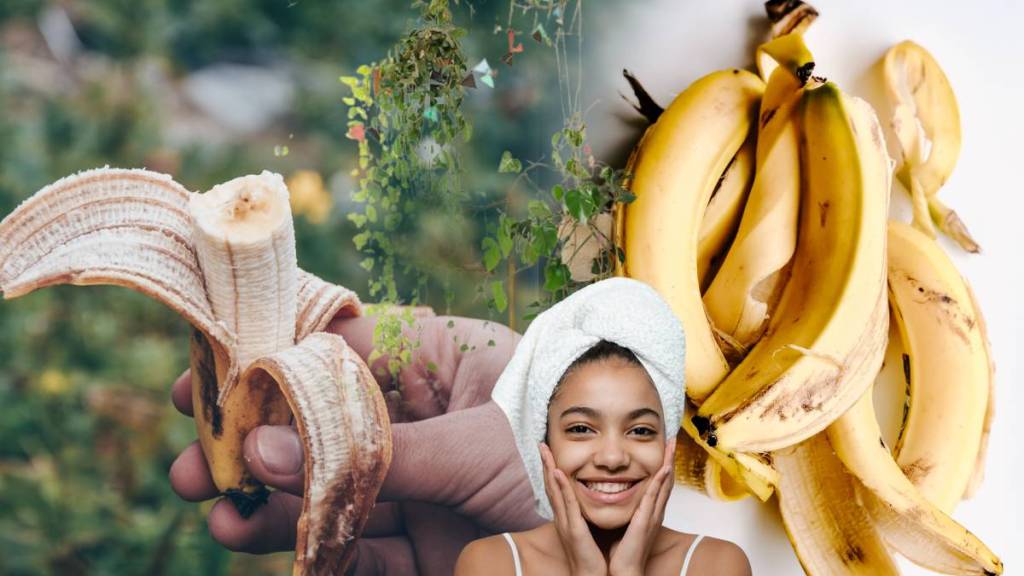 Never Throw Banana Peel Use It To Clean Skin and Home How To Make Compost Fertilizer Save your Money With Jugadu Tips