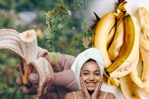 Banana Peel: केळ्याची साल कधीच फेकू नका, ‘या’ जुगाडू पद्धतींनी वापरून पाहा वाचतील शेकडो रुपये Never Throw Banana Peel Use It To Clean Skin and Home How To Make Compost Fertilizer Save your Money With Jugadu Tips