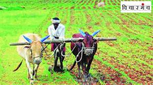 farmers Suicide