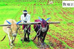 farmers Suicide