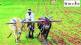 farmers Suicide