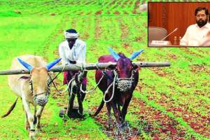अकोला : ई-पीक प्रकरणात मुख्यमंत्री, मंत्र्यांना बजावली नोटीस, नेमकं प्रकरण काय जाणून घ्या.. E Peak case