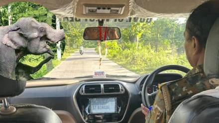 House lost in an elephant attack but The cab driver blamed himself