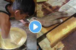 फ्रूट केक आवडीने खाताय का? फॅक्टरीमधील Video पाहून केक खाण्यापूर्वी १०० वेळा विचार कराल… After watching the video you will think 100 times before eating the fruit cake