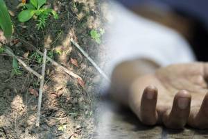 पालघर : नंडोरे येथे विजेचा धक्का लागून दोन तरुणांचा मृत्यू, रानडुक्कर पकडण्यासाठी रचला होता विद्युत सापळा Two tribals died