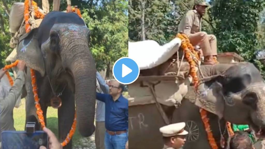 A farewell ceremony was held for a 66 year old female elephant
