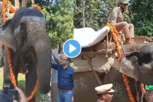 Video : गोमतीचा निरोप समारंभ! आयएफएस अधिकाऱ्याची कौतुकाची पोस्ट A farewell ceremony was held for a 66 year old female elephant