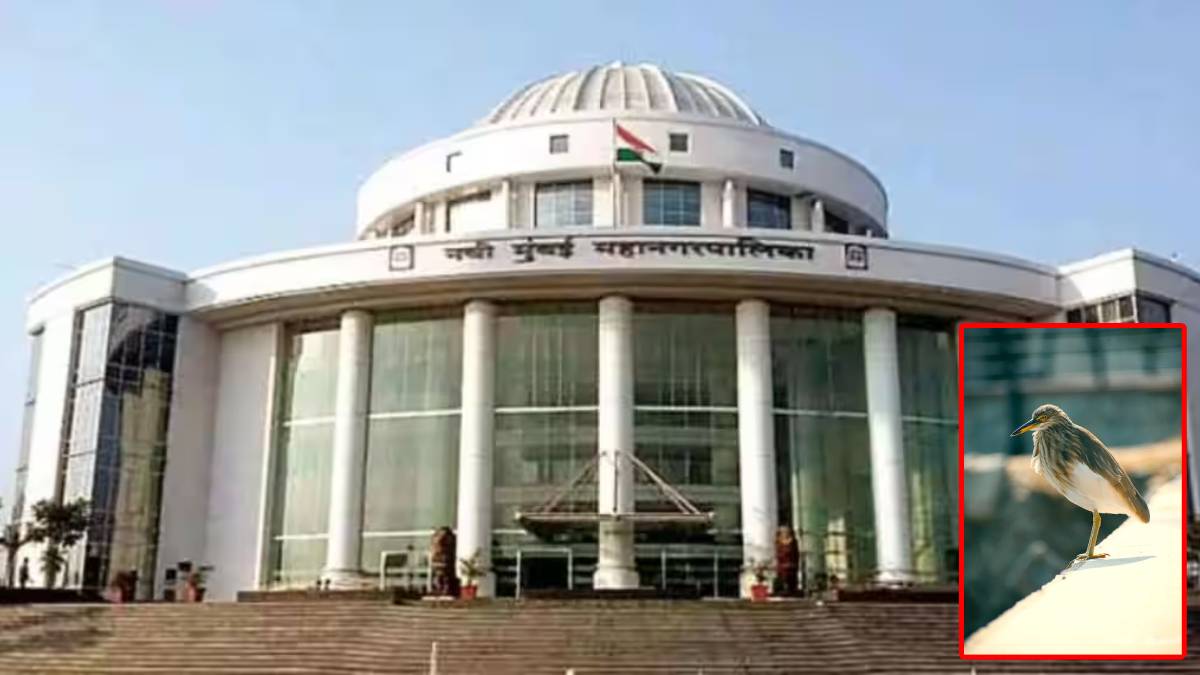Navi Mumbai mnc