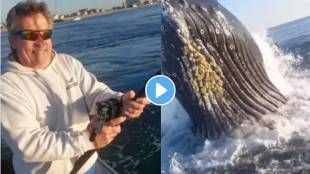 US boat almost gets hit by a massive and aggresive whale shocking video goes viral