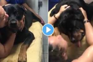 कुत्र्यानं मालकीणीच्या हातात सोडला जीव; VIDEO पाहून तुमच्याही डोळ्यात येईल पाणी… Dog Death in hospital woman cried like a human had died emotional video