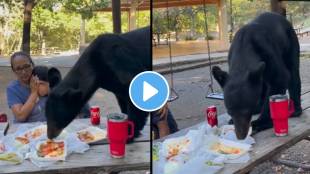 In viral Video Family went on a picnic and were eating when a wild bear came