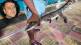 Sandeep Deshpande on bmc