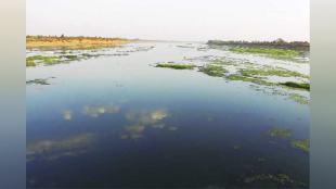 Wainganga Nalganga river linking project