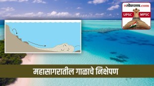 Oceanic Sediments
