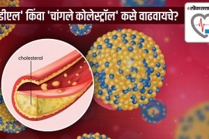 ‘एचडीएल’ किंवा ‘चांगले कोलेस्ट्रॉल’ कसे वाढवायचे? डॉक्टरांकडून जाणून घ्या सोपे उपाय HDL