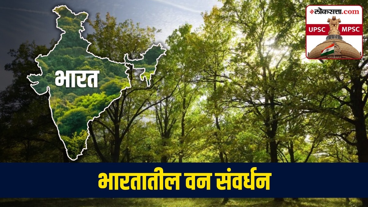 Forest In India