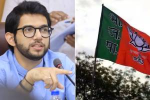 “यांना वाघनखे टोचतात अन् पेंग्विन घेऊन, हे…”, भाजपाची आदित्य ठाकरेंवर सडकून टीका aaditya thackeray bjp flag