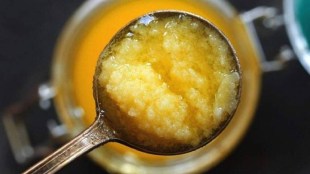 adulterated ghee in the letter room