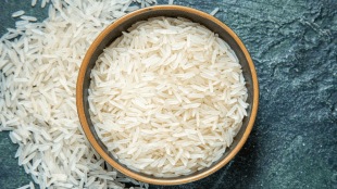 basmathi rice exports
