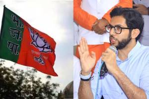 “आदित्य ठाकरेंनी आमच्या सरकारला ‘सळो की पळो’ केलं नाहीतर…”, भाजपा खासदाराचा टोला bjp flag aadity thackeray