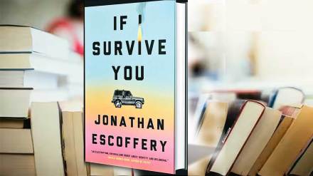 book review if i survive you