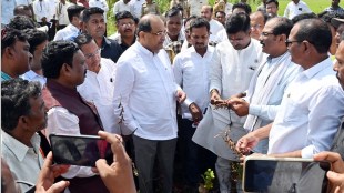 revenue minister radhakrishna vikhe patil, inspects damaged crops