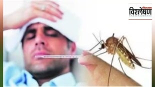 dengue patients in mumbai, why dengue patients increases in mumbai, dengue patients continuously increases in mumbai