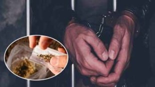 marijuana, mumbai police, four arrested with marijuana, mumbai police crime branch