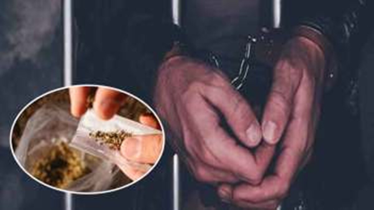 marijuana, mumbai police, four arrested with marijuana, mumbai police crime branch