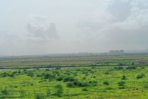 उरणच्या शेतजमिनीवर दलालांचा डोळा, शिवडी-न्हावाशेवा पूल, नव्या रेल्वेमुळे जमीन विक्रीला जोर real estate agents, agricultural lands in uran, farmers in uran, agents forcing farmers to sell land in uran