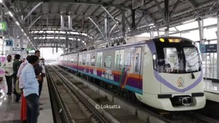 pune metro shut downs frequently, bird hits overhead wire