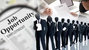contract job in government sector