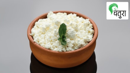 different ways to have curd