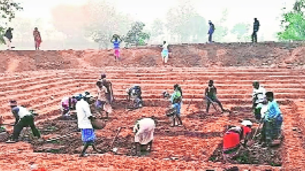 Farmers in crisis due to lack of rain, rain , drought ,