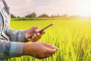 शेतकऱ्यांनो, ई-पीक नोंदणी विसरली तर सरकारी मदत… e-crop inspection record will be beneficial