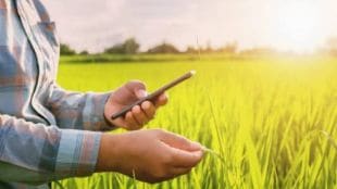 e-crop inspection record will be beneficial