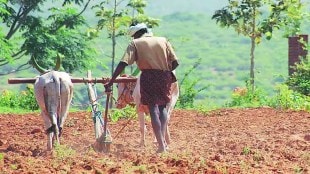 There is concern in the cabinet meeting as the farmers are not getting help from the insurance companies