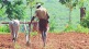 farmers associations social workers Uran appealing farmers keep remaining land selling brokers