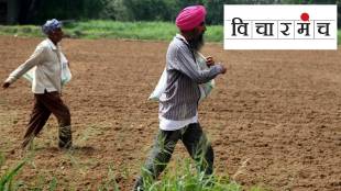 farmers, crops, export, agricultural value chain, central government, Agriculture policy