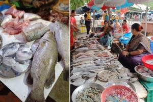 मच्छीमार खर्चाच्या जाळ्यात; ग्राहक महागाईच्या लाटेत! Retail fish prices increased difference between supply demand uran